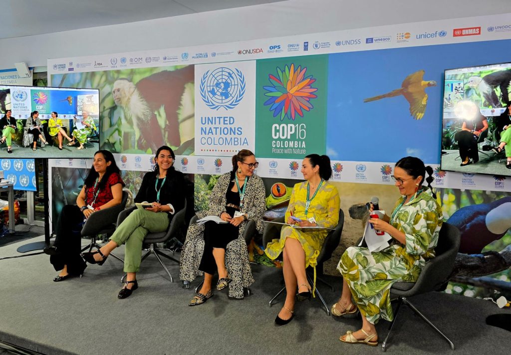 Chile avanza en el diseño y aplicación de instrumentos económicos que incentiven la conservación de la biodiversidad y presentó estos avances y desafíos en la COP16 en Cali, Colombia