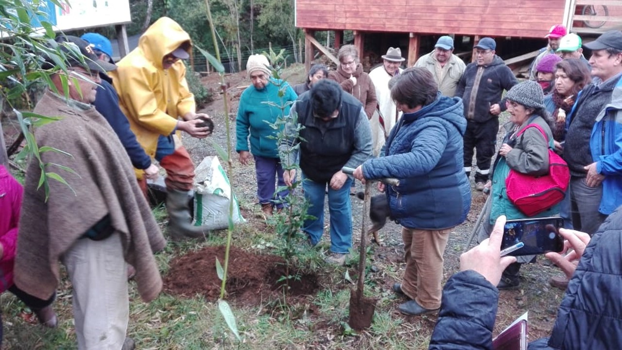 Ceremonia inicio Restauración con adultos mayores y mapuche