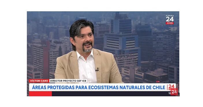 ¿En qué consiste el Proyecto GEF ICB?