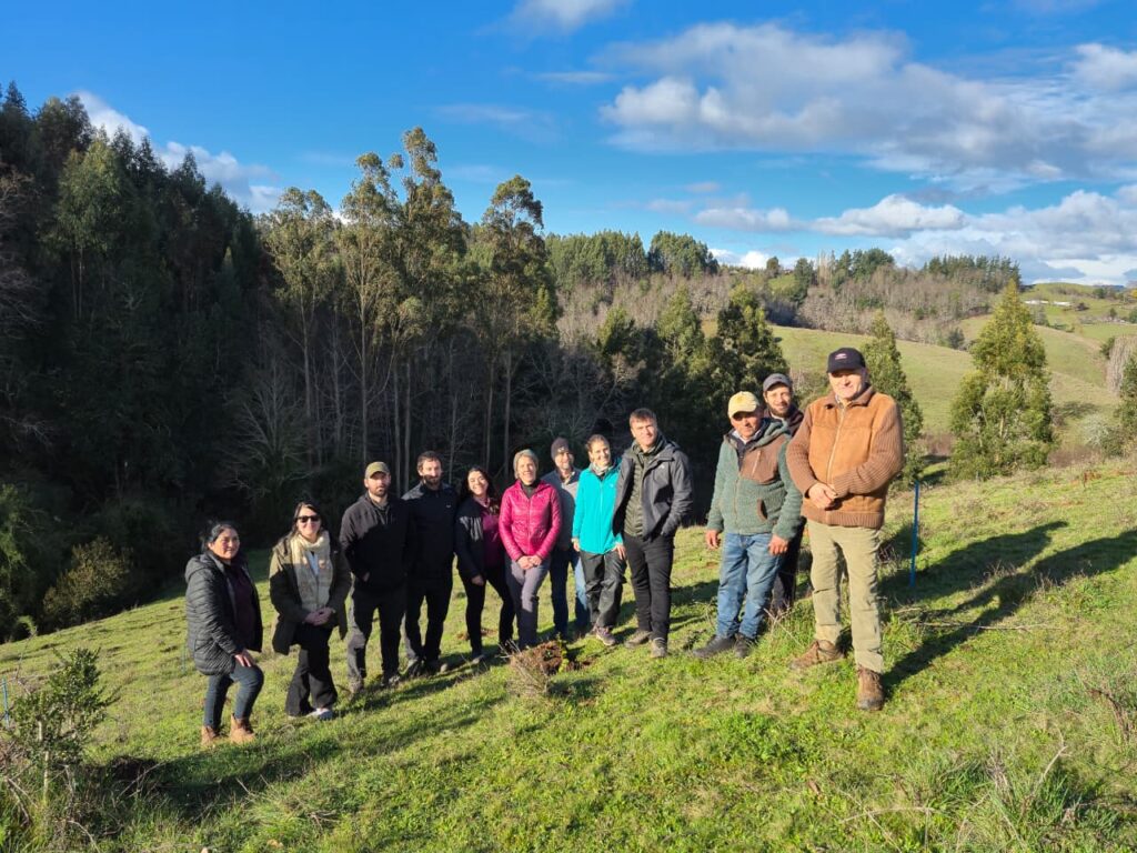 Mashue: trabajando por la restauración del agua y los bosques