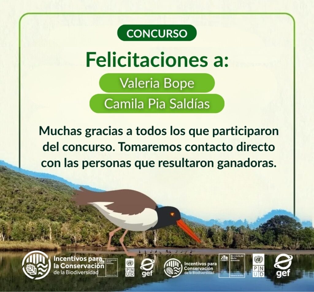 Comunidad se vuelca a la conservación: alta participación en concurso por el Manual de Servicios Ecosistémicos para Planificadores