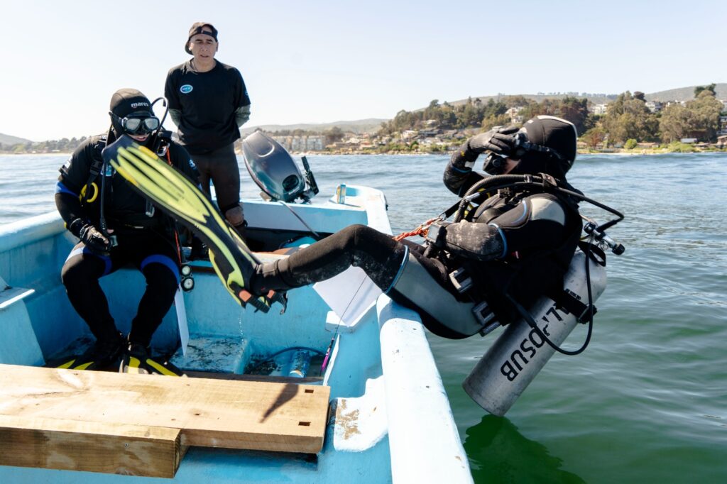 Pescadores Artesanales se sumergen en la ciencia: Finaliza con éxito Curso de Monitoreo de Biodiversidad Submareal en Maitencillo y Ventanas