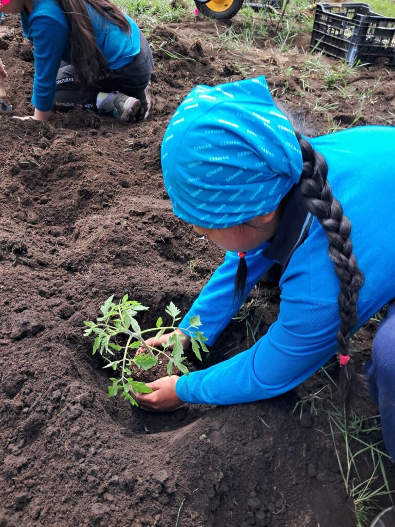 Niños y niñas de Liquiñe lideran programa de educación ambiental con pertinencia cultural en la Región de Los Ríos