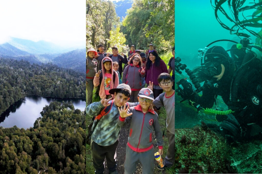 Proyecto GEF Incentivos para la Conservación de la Biodiversidad: principales avances 2025