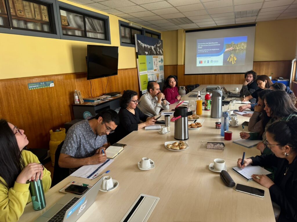 Comité Técnico Regional del Proyecto ICB en Los Lagos destacó avances en  Contratos de RSE y desarrollo de la experiencia demostrativa en Huellelhue 