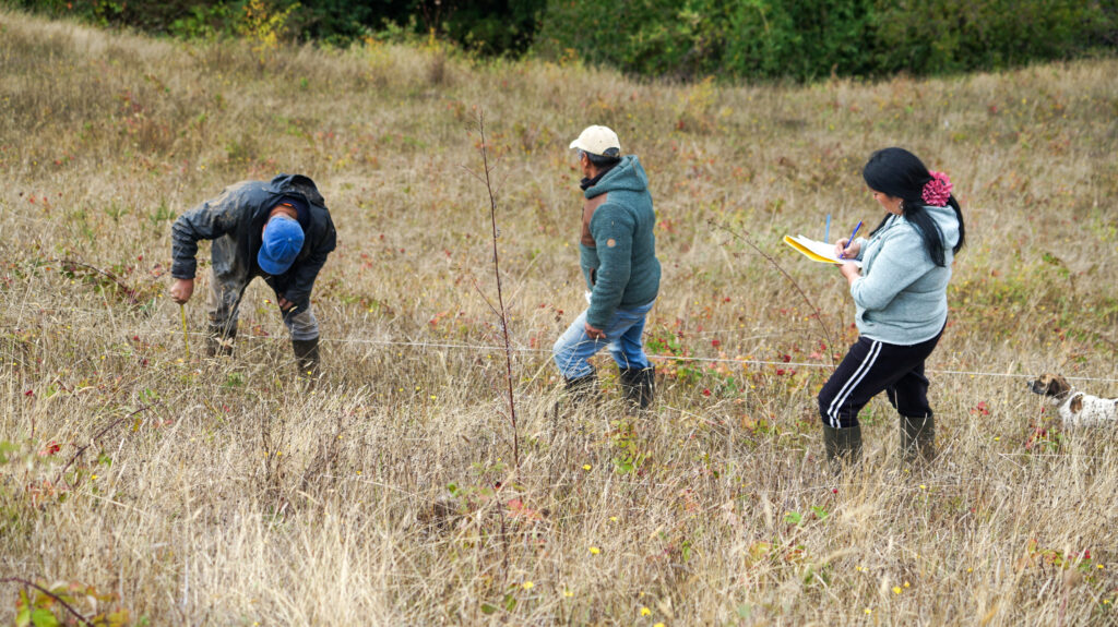 Localidad de Mashue lidera la recuperación de sus fuentes de agua