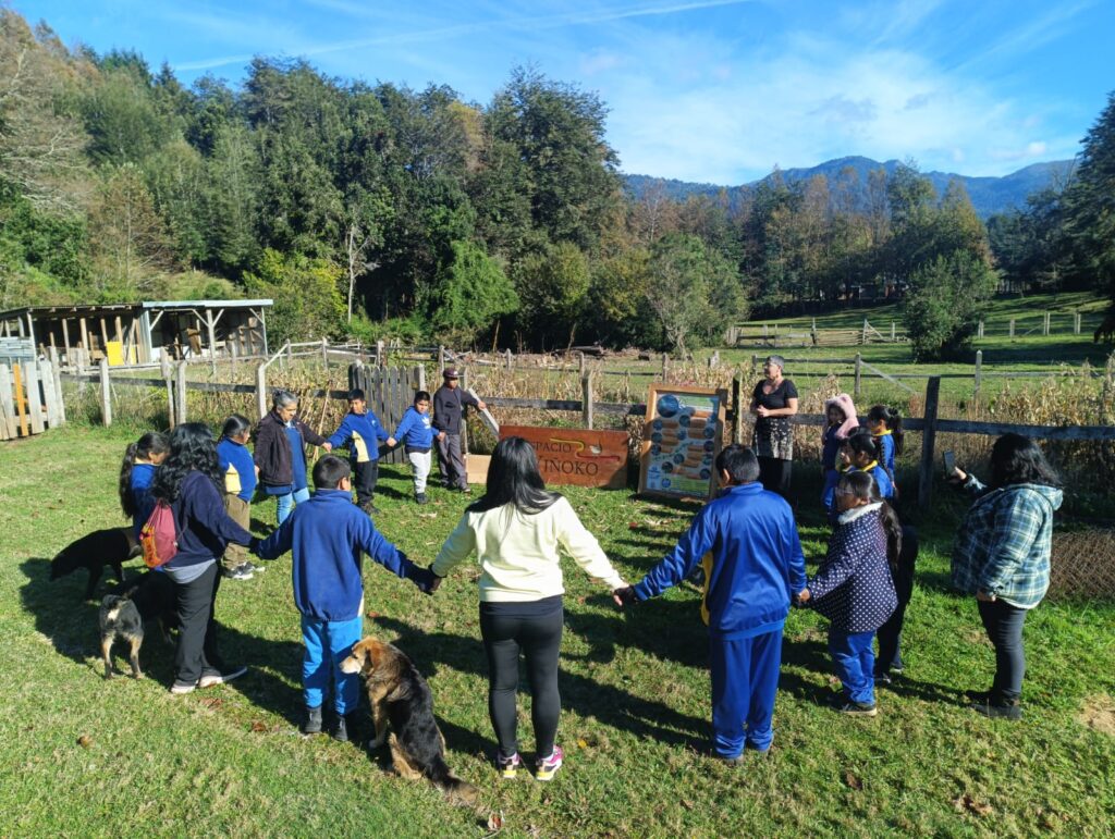 Educación ambiental en terreno: Estudiantes de Liquiñe recorren y valoran el bosque de Espacio Wiñoko 