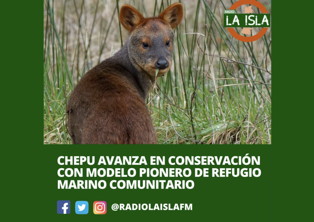 Chepu avanza en conservación con modelo pionero de refugio marino comunitario