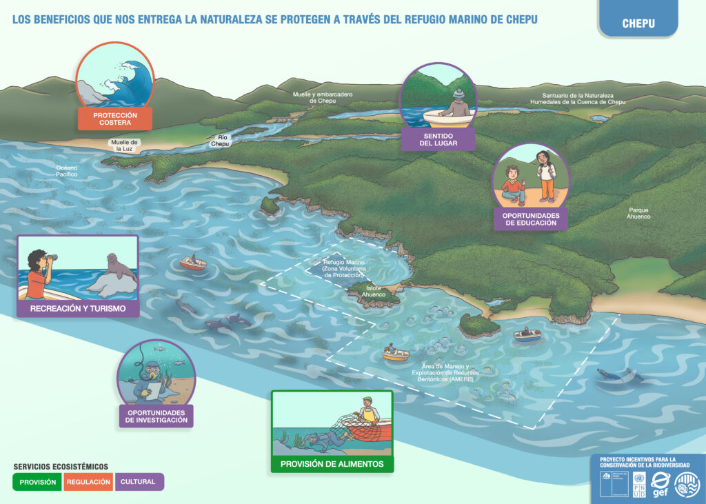 Los beneficios que nos entrega la naturaleza se protegen a través del refugio marino de Chepu
