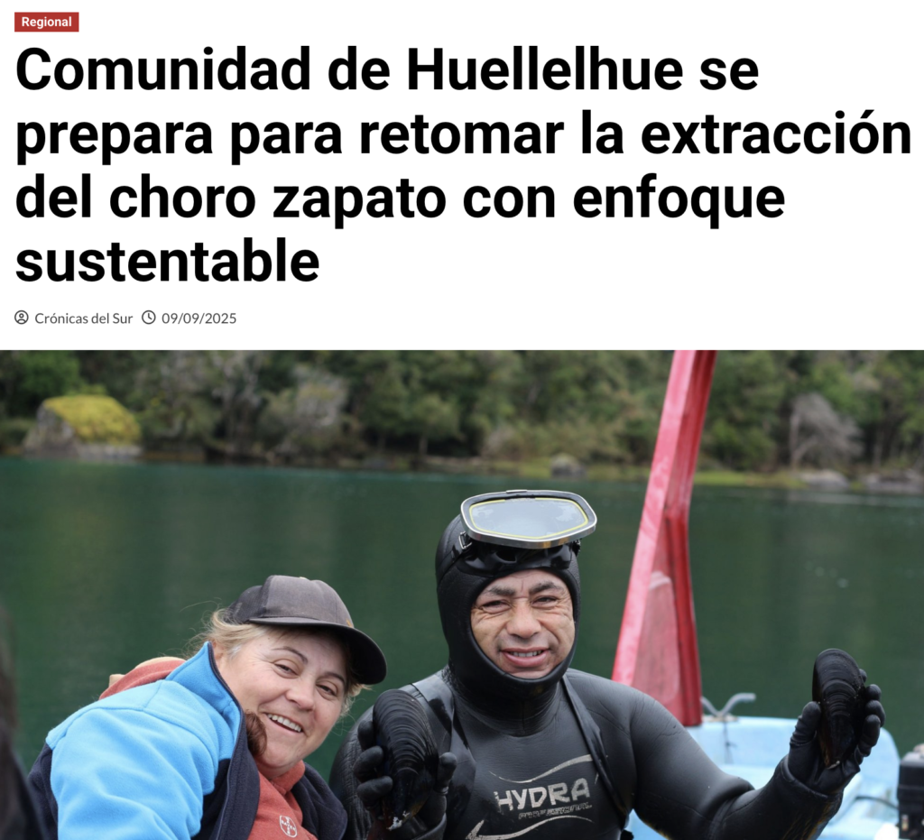 Comunidad de Huellelhue se prepara para retomar la extracción del choro zapato con enfoque sustentable