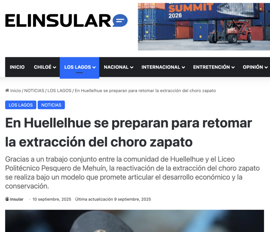 En Huellelhue se preparan para retomar la extracción del choro zapato