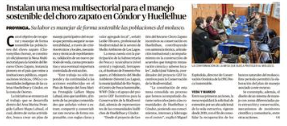 Instalan una mesa multisectorial para el manejo sostenible del choro zapato en Cóndor y Huellelhue