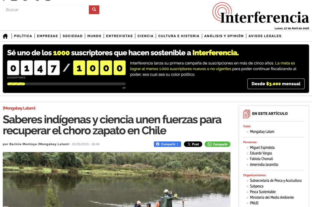 Saberes indígenas y ciencia unen fuerzas para recuperar el choro zapato en Chile