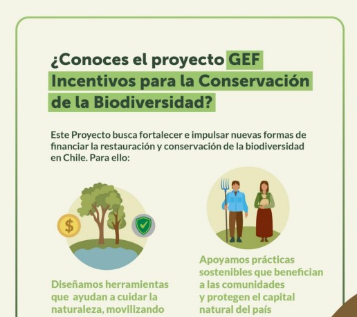 Infografía del Proyecto