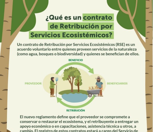 Infografía contratos servicios ecosistémicos