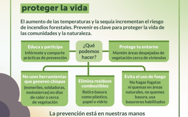 Infografía incendios