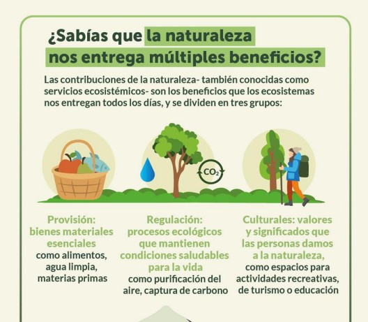 Infografías servicios ecosistémicos