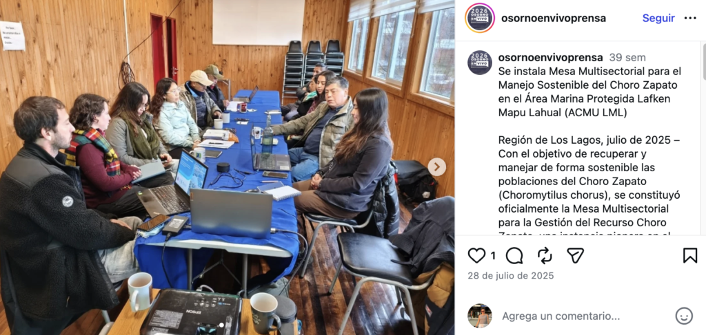 Se instala Mesa Multisectorial para el Manejo Sostenible del Choro Zapato en el Área Marina Protegida Lafken Mapu Lahual (ACMU LML)